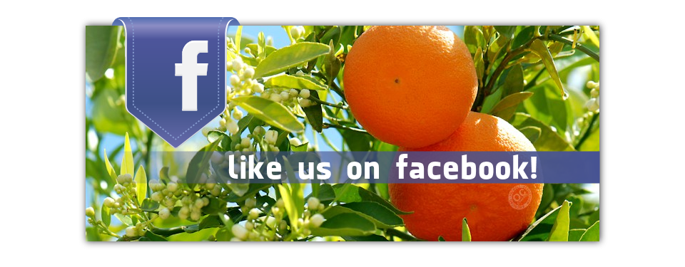 Like us on facebook!